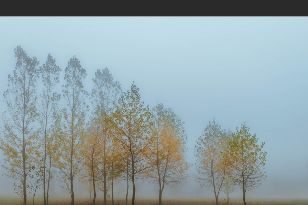 03-nemet-deak-endre-robert-kodbe-veszo500F05DD-B864-7A15-FF7E-18B58234FDC5.png