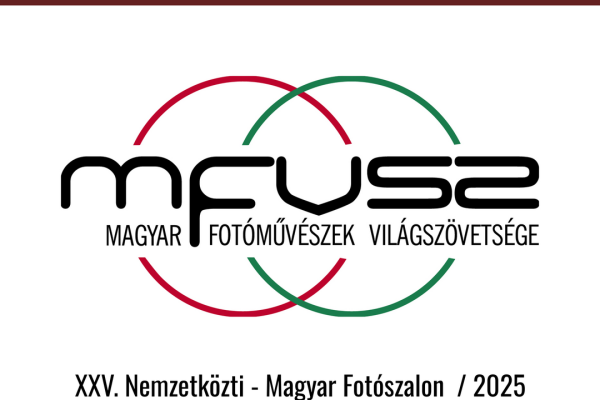 mfvsz-25-udv-pano-01A3E01B09-2600-D67D-8A49-8BE590FABF37.png