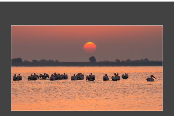 mfvsz-25-udv-pano-341C0F6457-2C23-1F3F-7AE8-9858080567D9.png