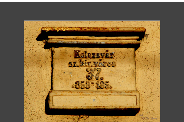 mfvsz-25-udv-pano-41F934C63C-6AB2-BEB5-2B91-68E24DF31953.png